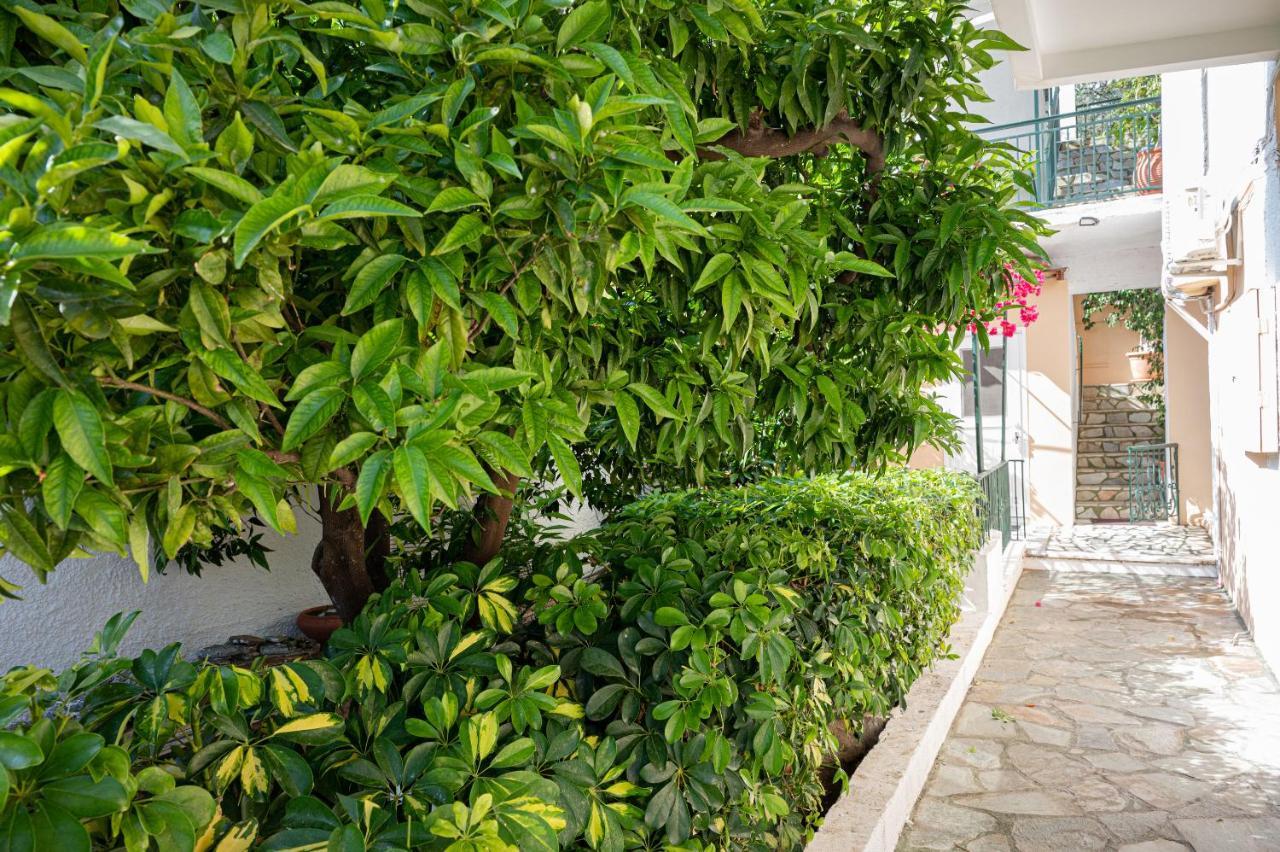 Villa Sofia Sea View Poros Town Екстер'єр фото